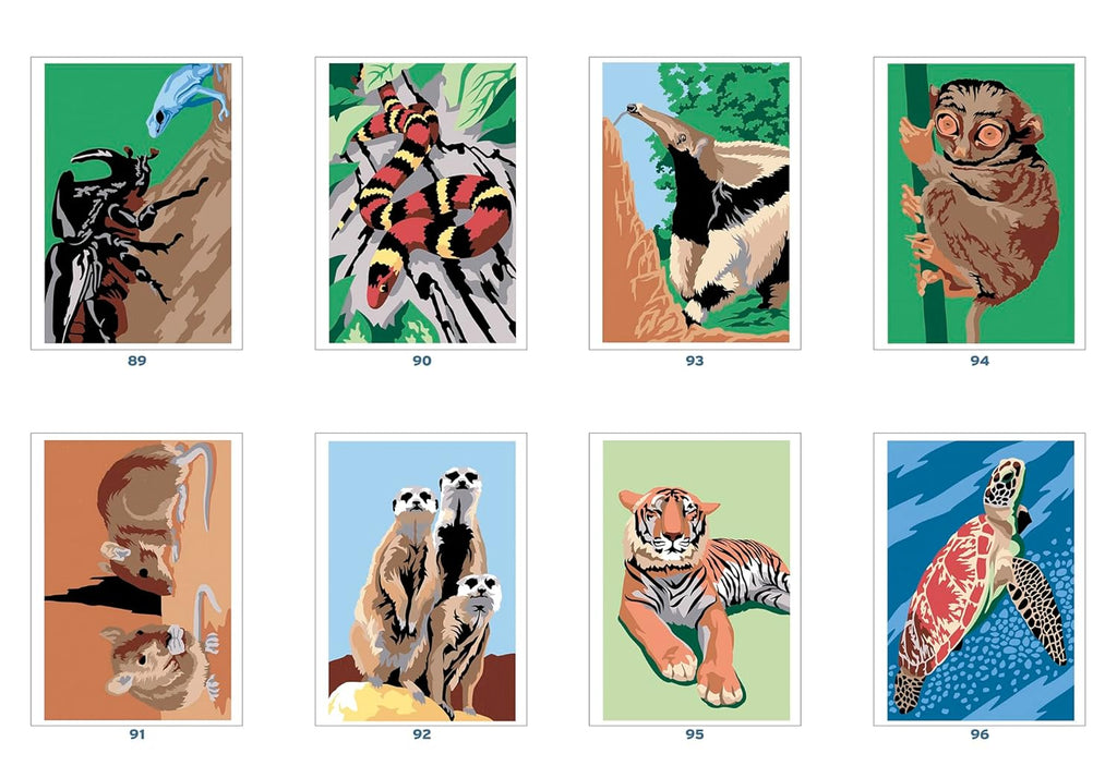 Animaux du Monde