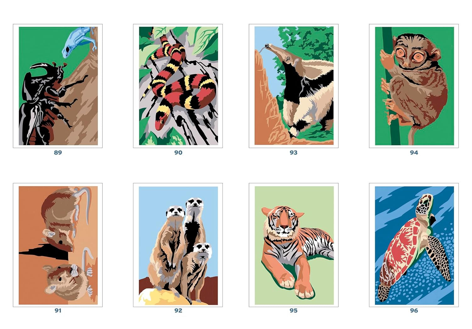 Animaux du Monde