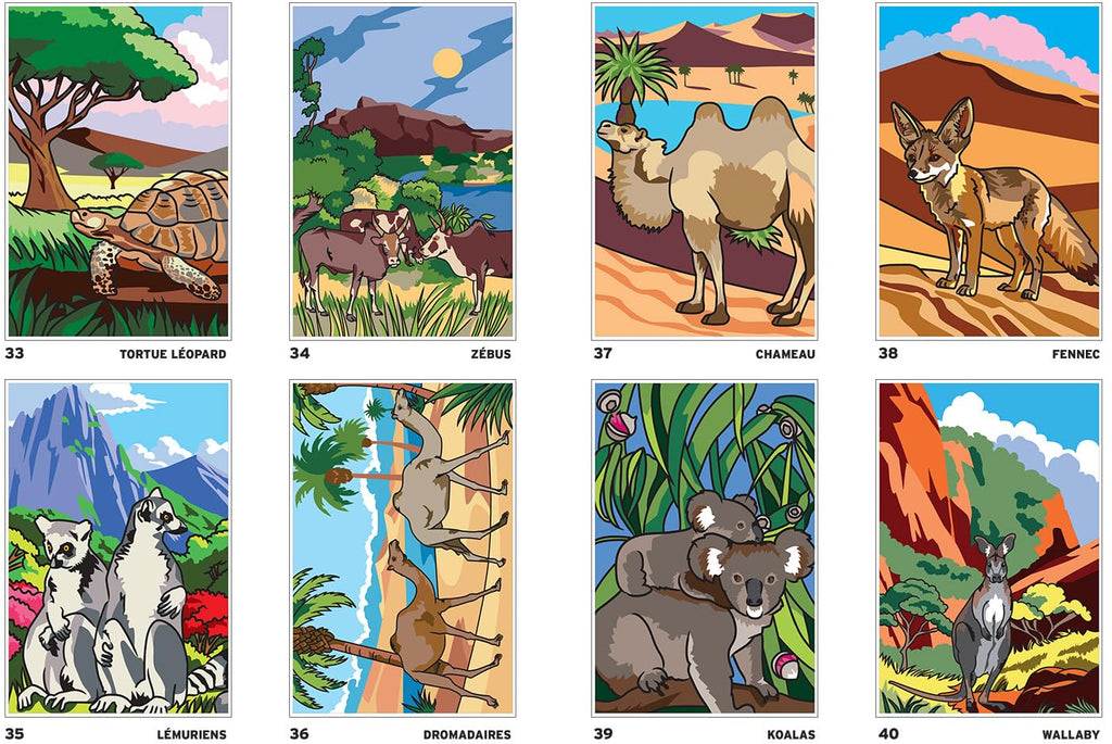 Safari